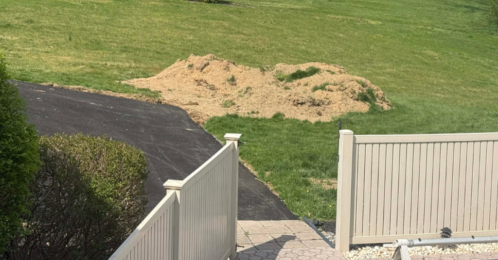 questioning ambition